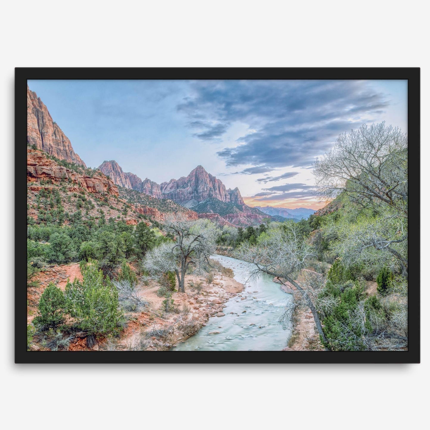 Zion River
