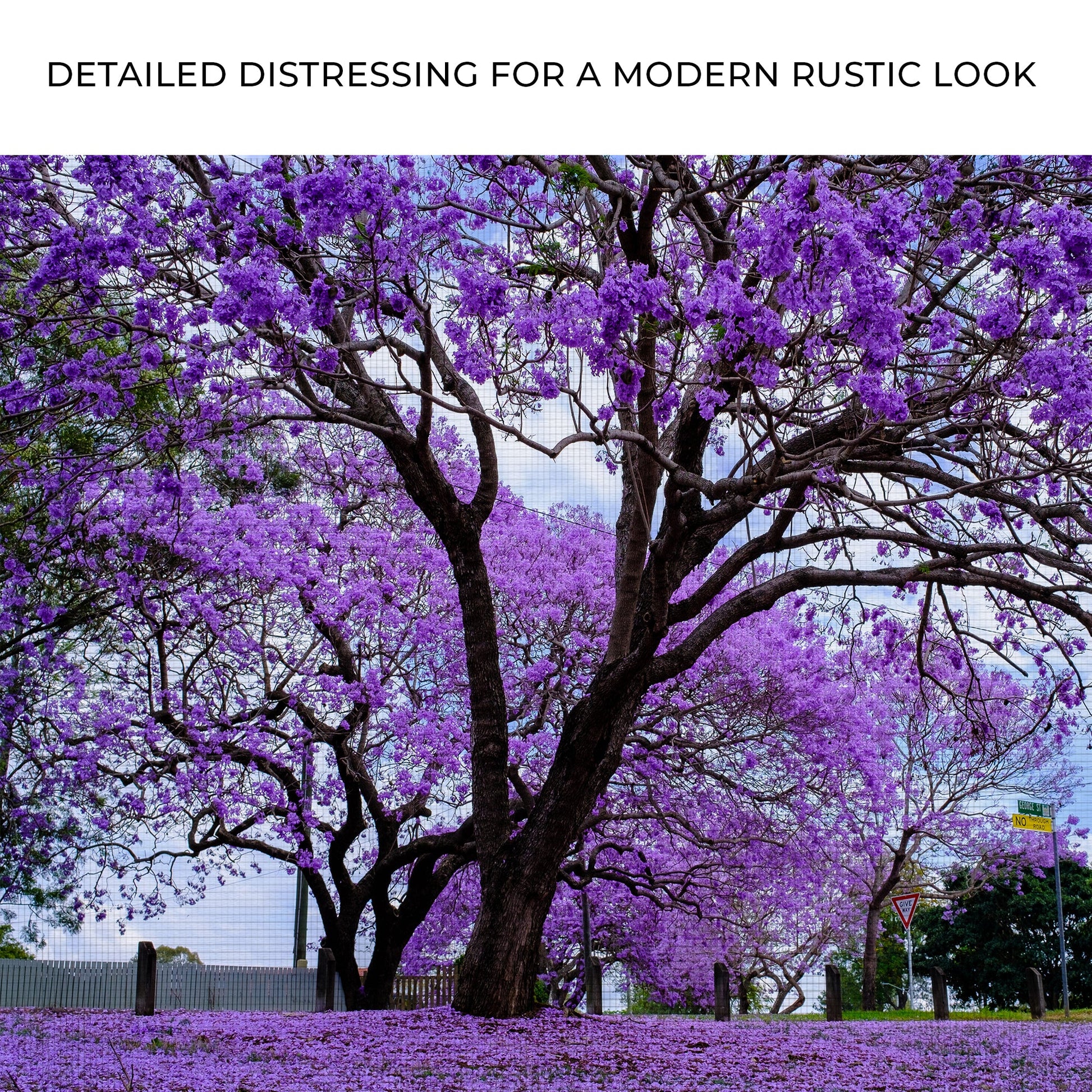 Purple flowering tree with detailed distressing effect on a clear sky background
