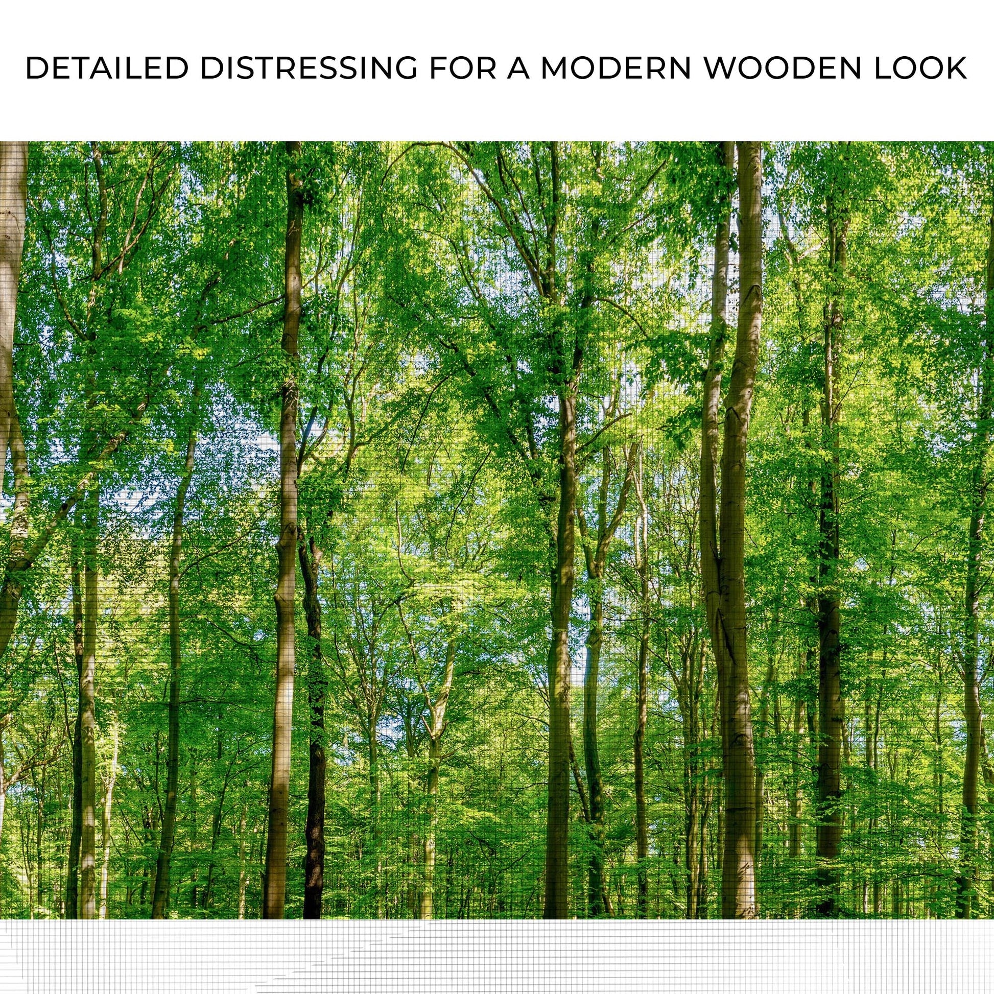 Forest scene with trees and green foliage, text 'Detailed distressing for a modern wooden look'.