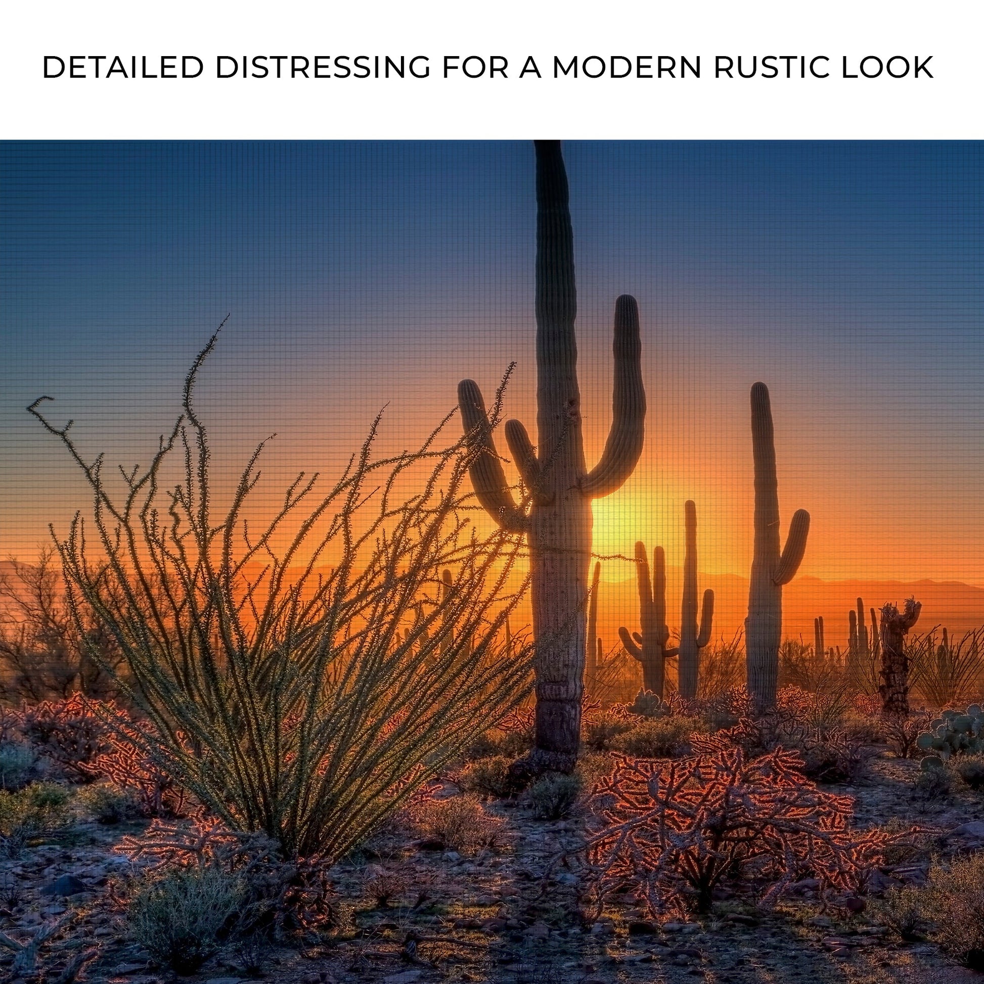 Desert landscape with cacti and shrubs during sunset, text 'Detailed distressing for a modern rustic look'.