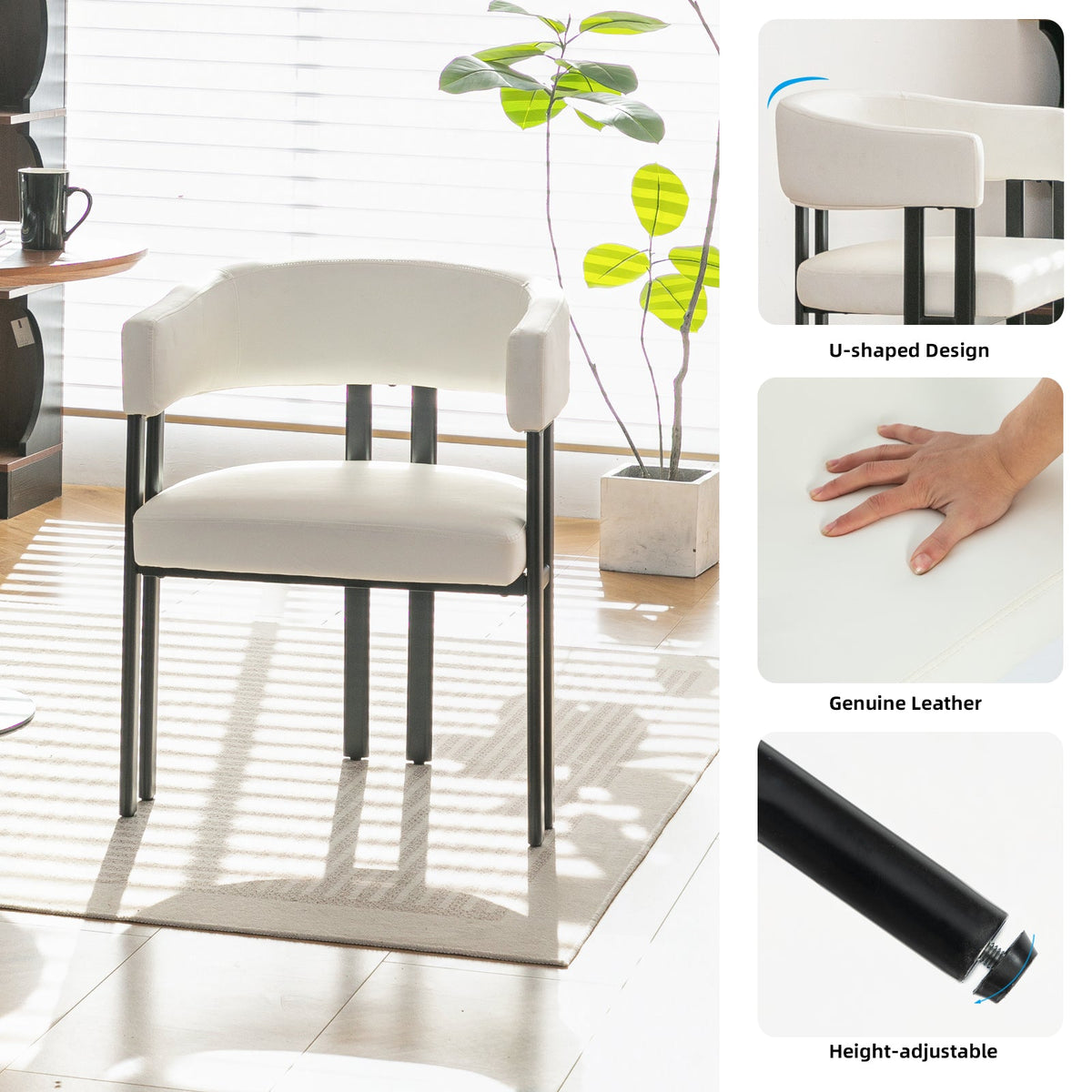 Modern Dining Chairs Set of 2