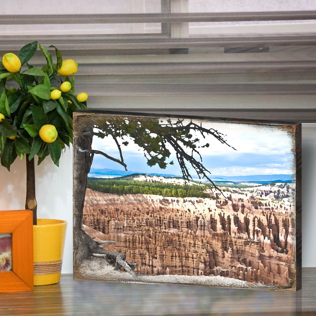 Canyon Tree View Art Wooden Wall Art by Nature Wonders - Nature Wildlife Decor  - 95281B