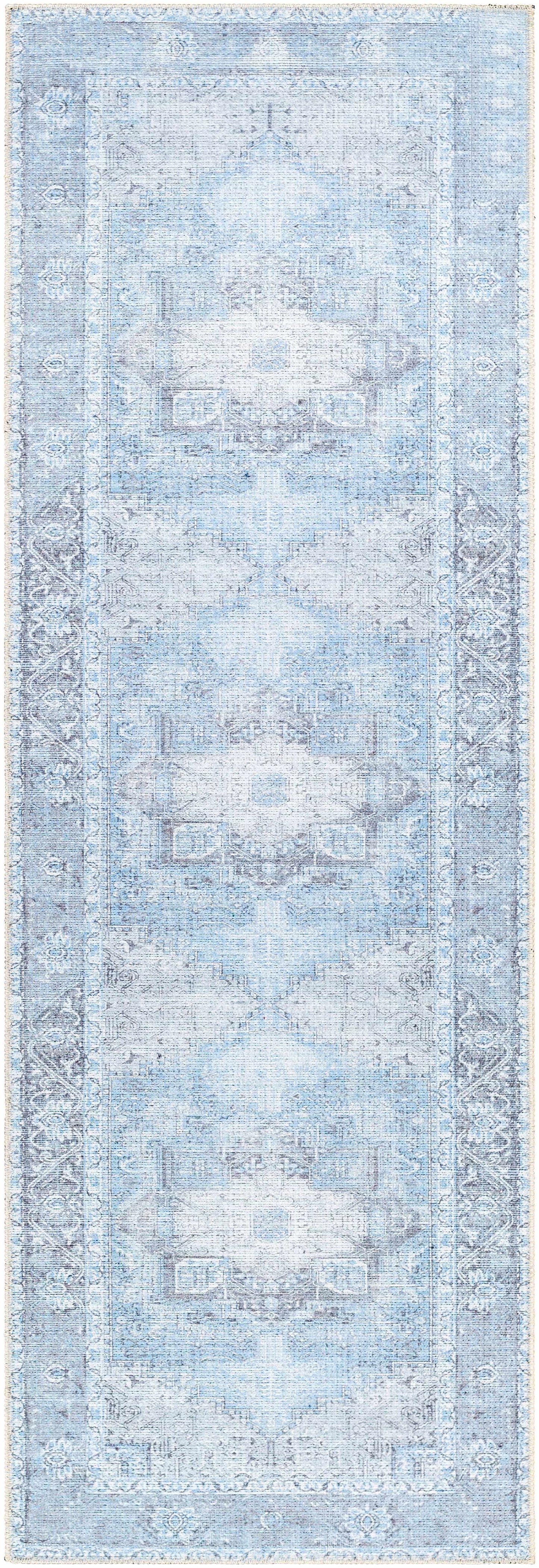 Aqua Rosman Washable Area Rug
