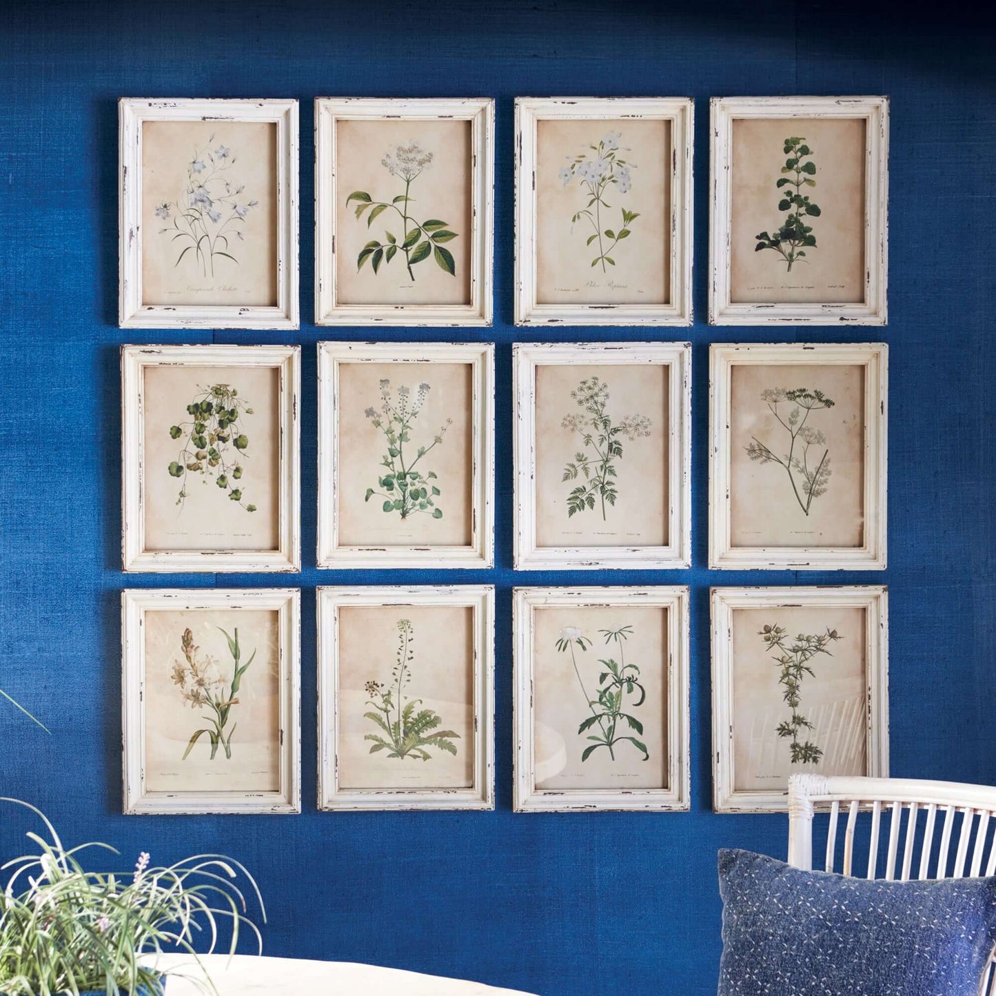 Antique Botanical Flower Prints in Distressed White Frames (Set of 12)