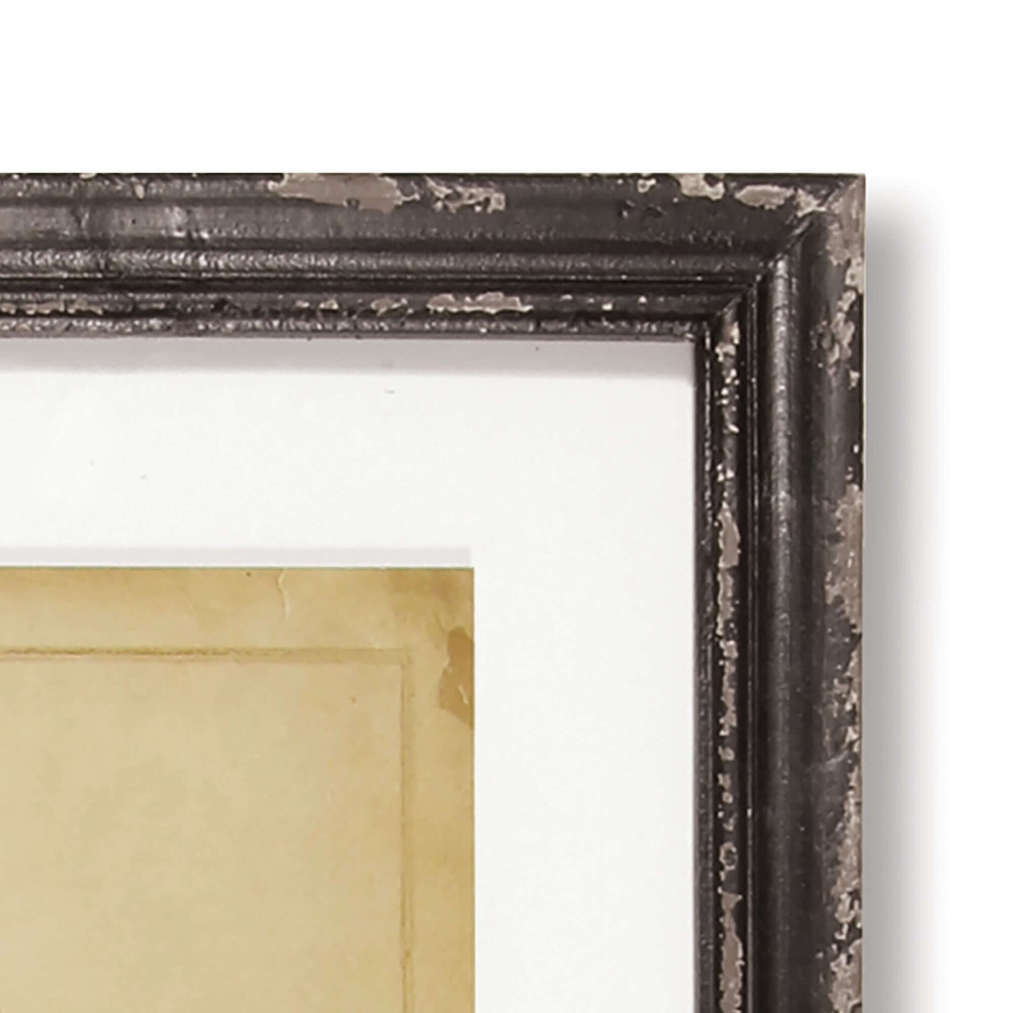 Antique Framed Botanical Fern Prints (Set of 8)