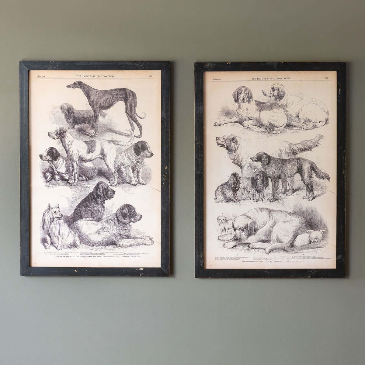Antique Dog Art Prints in Black Wood Frames (Set of 2)