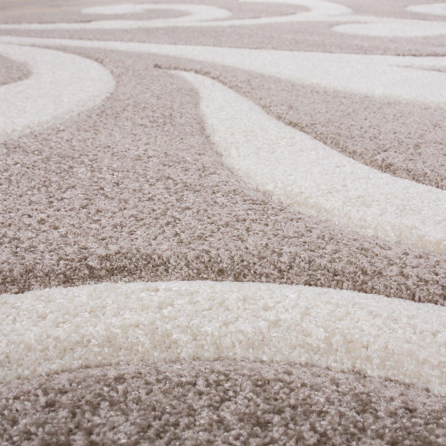 Area Rug Lafleur Modern Floral Pattern with Contour Cut - Beige