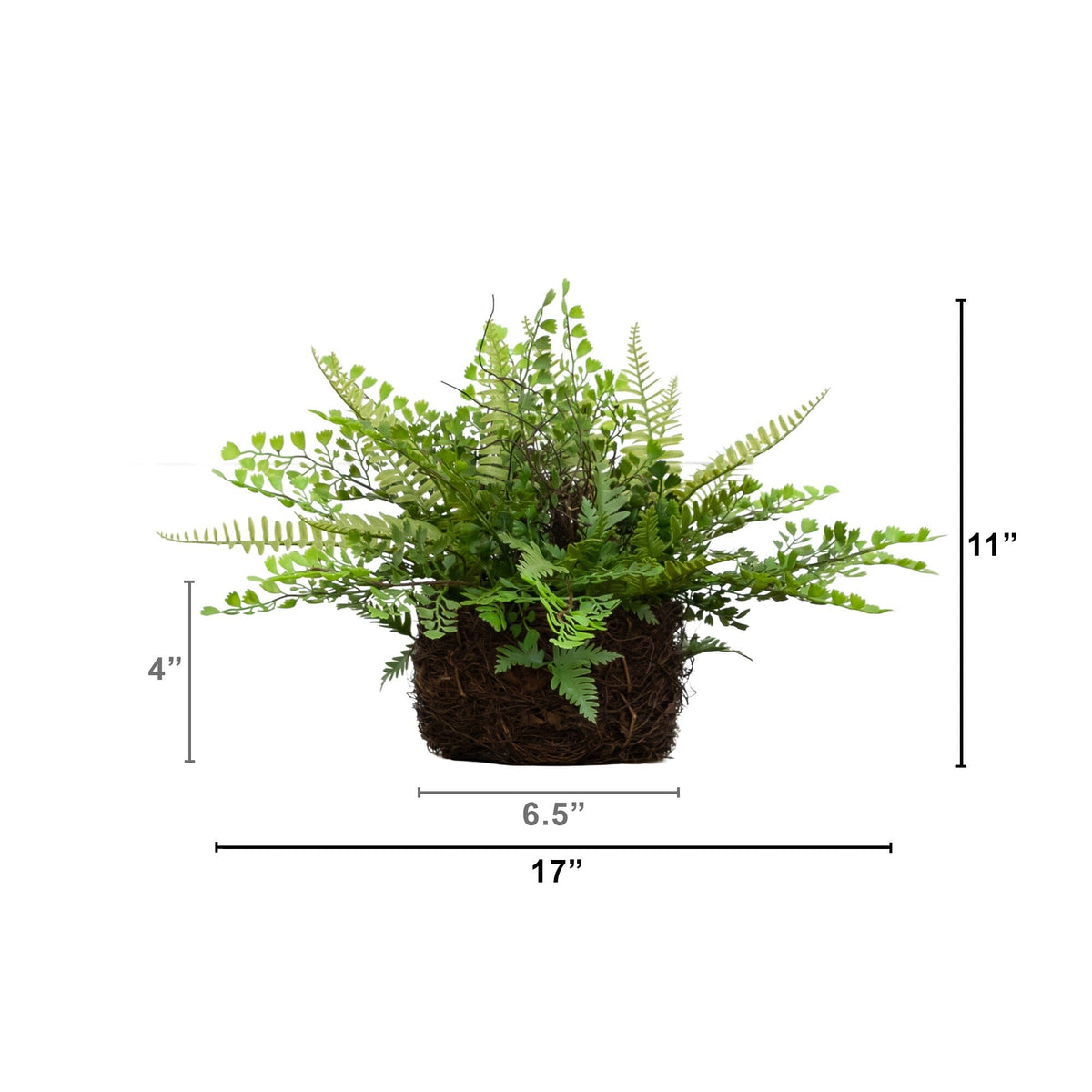 11" Artificial Mixed Fern Plant with Twig and Moss Basket
