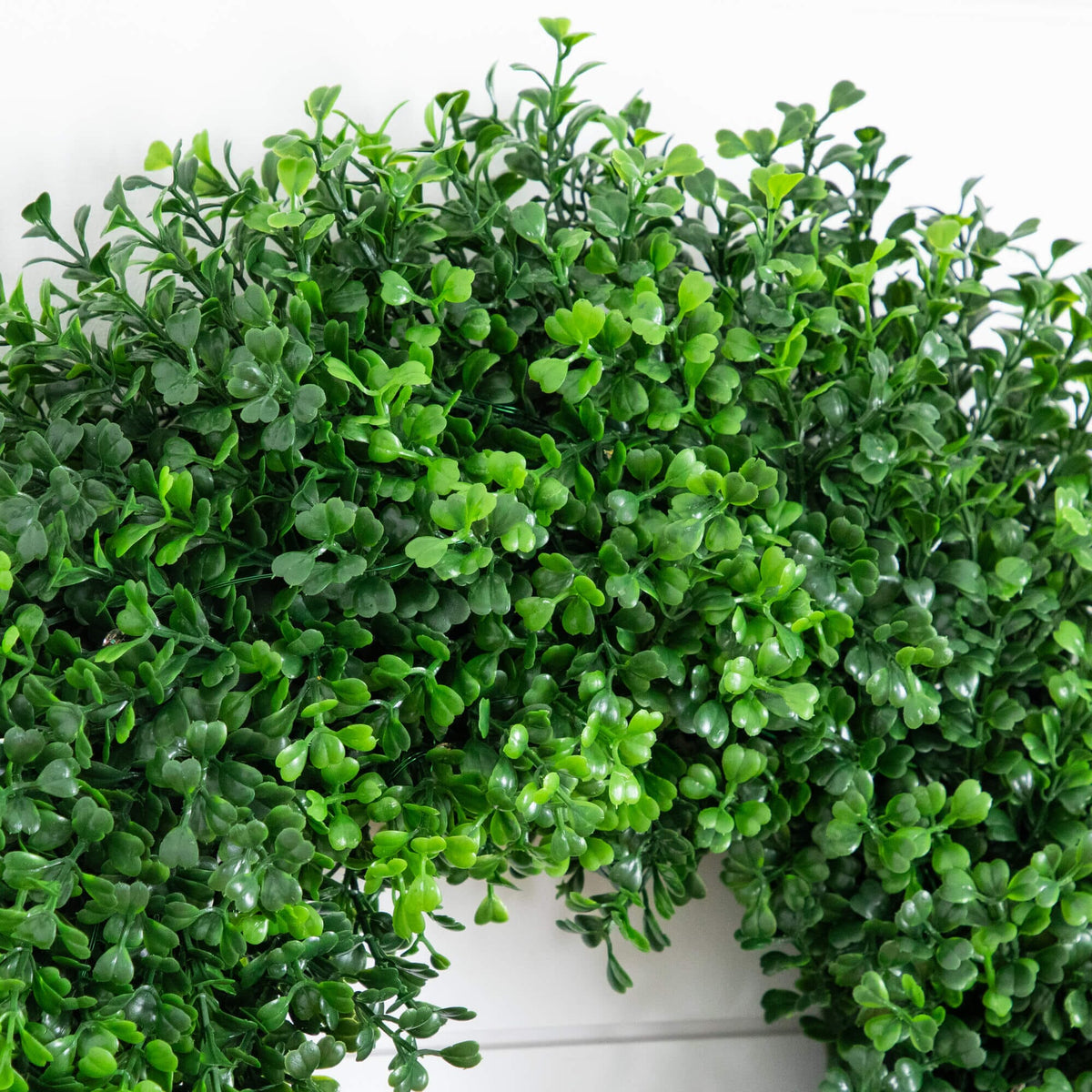 18" Pre-Lit Artificial Boxwood Wreath with 25 Warm White LED Lights