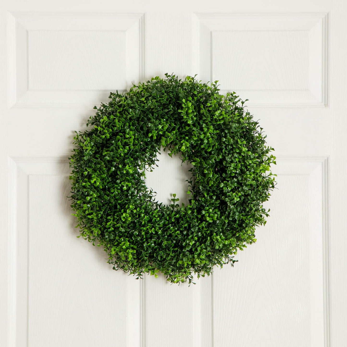 18" Pre-Lit Artificial Boxwood Wreath with 25 Warm White LED Lights