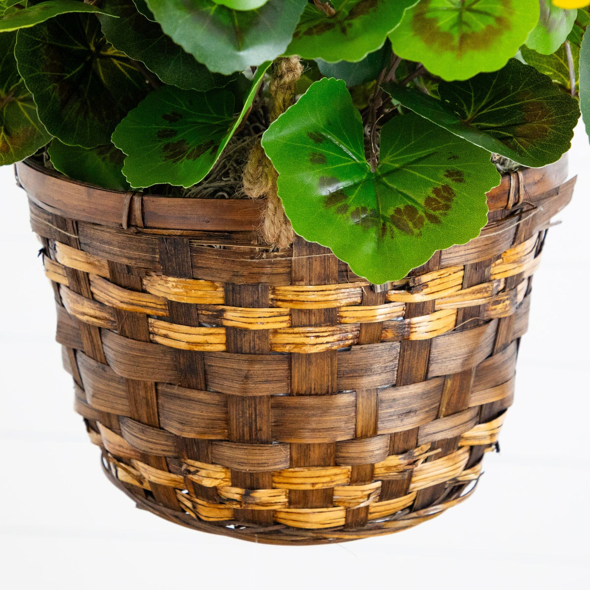 19” Geranium Hanging Basket UV Resistant (Indoor/Outdoor)
