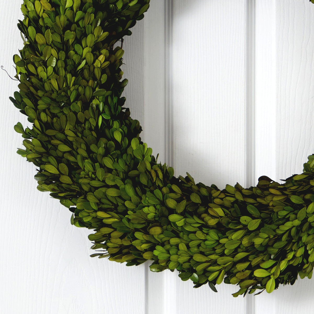 24” Preserved Boxwood Wreath