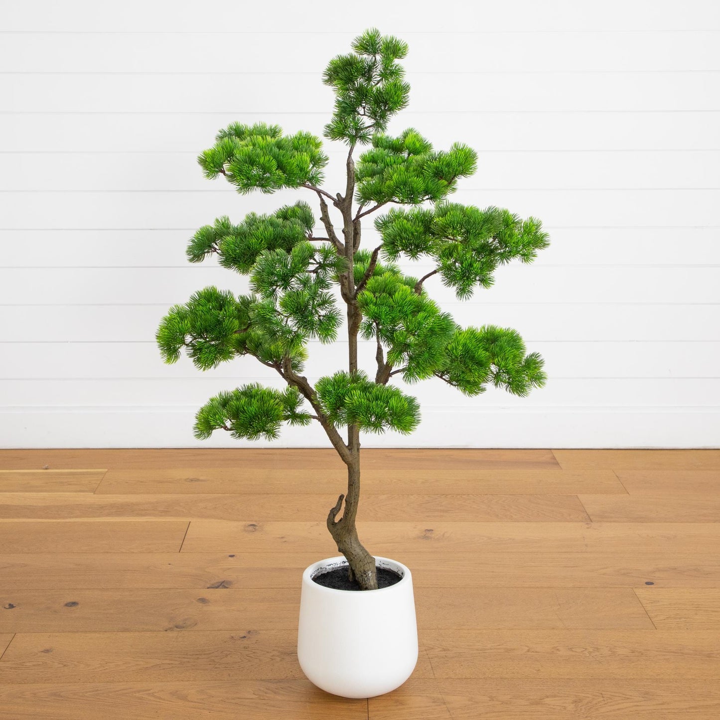 3.5' Artificial Bonsai Style Cedar Tree in Decorative White Planter