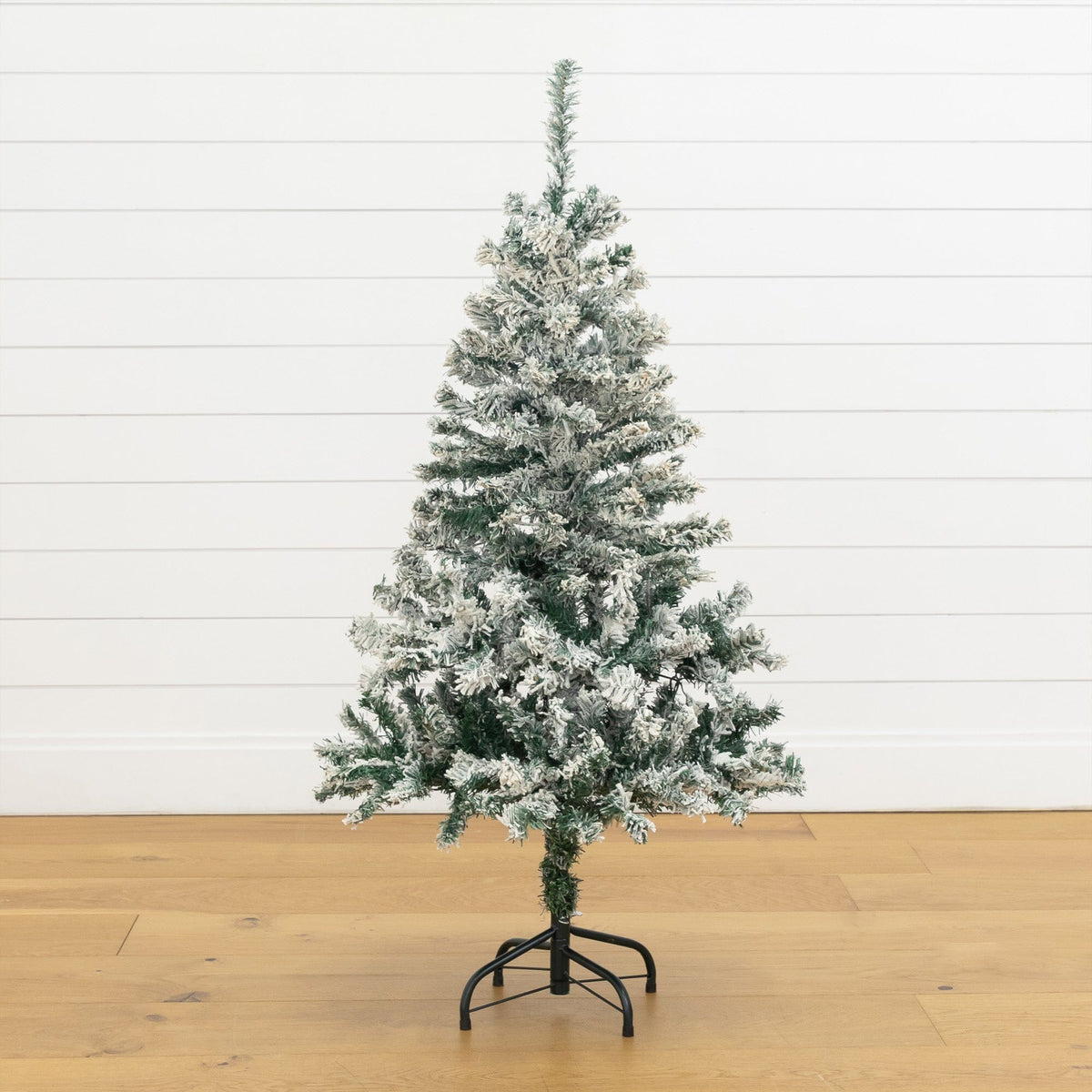 4' Flocked Rock Springs Spruce Artificial Christmas Tree with 100 Clear LED Lights