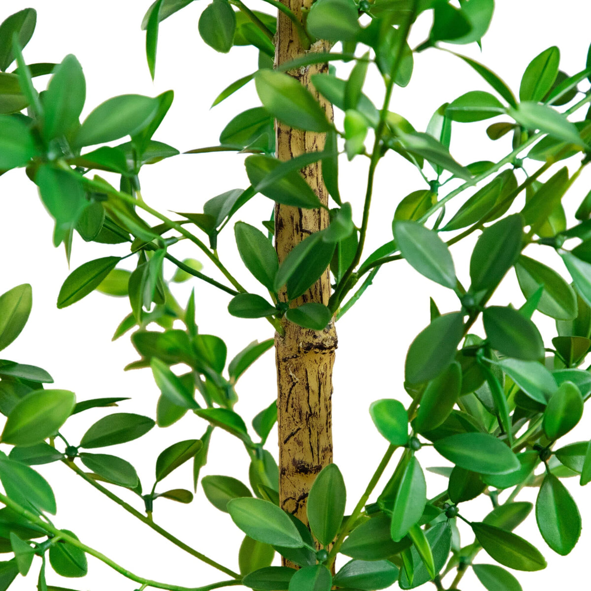 4' Artificial Shady Lady Black Olive Tree