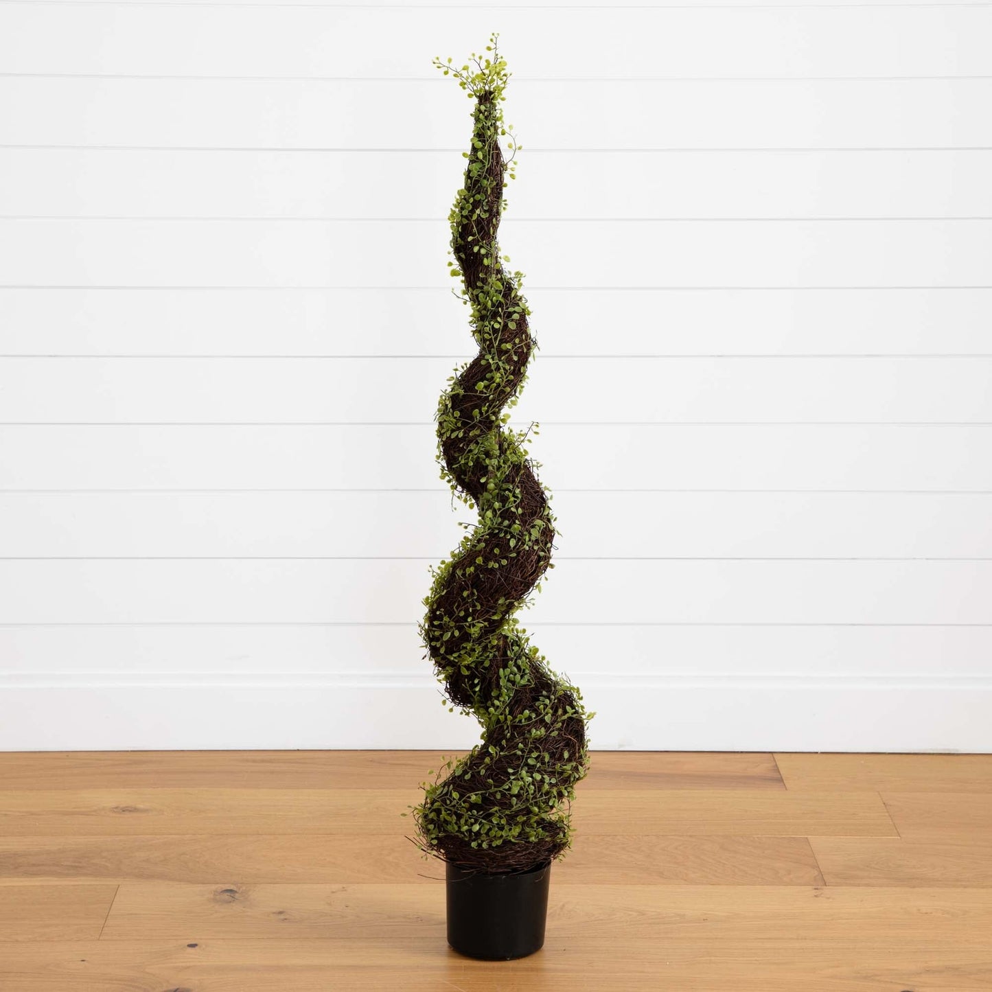 4' Artificial Muehlenbeckia Spiral Tree