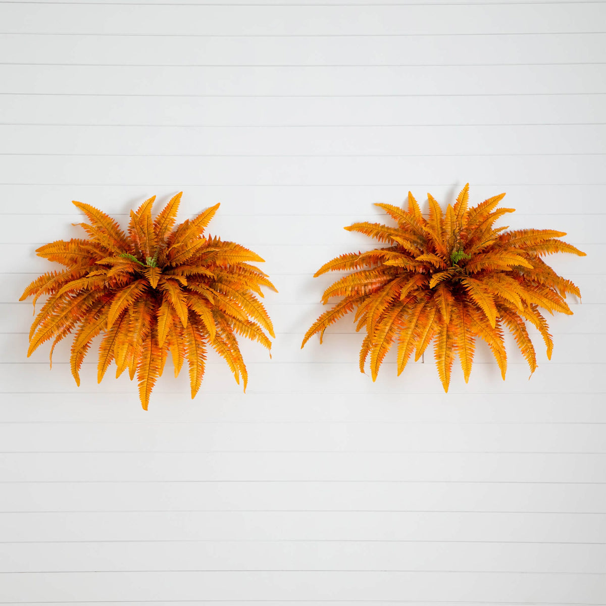 48" Autumn Artificial Fall Boston Fern - Set of 2