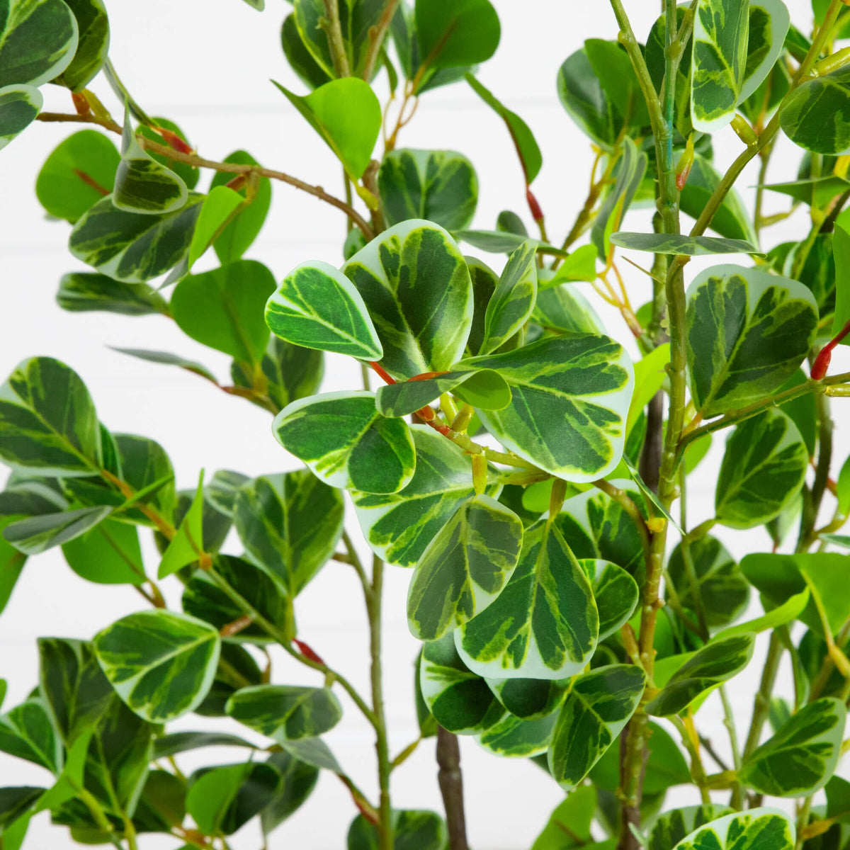 5' Artificial Heart Shaped Ficus Leaf Tree