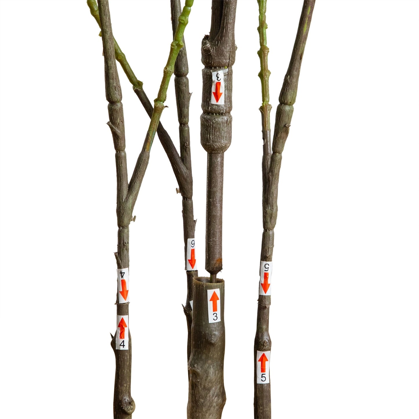 5' Artificial Heart Shaped Ficus Leaf Tree