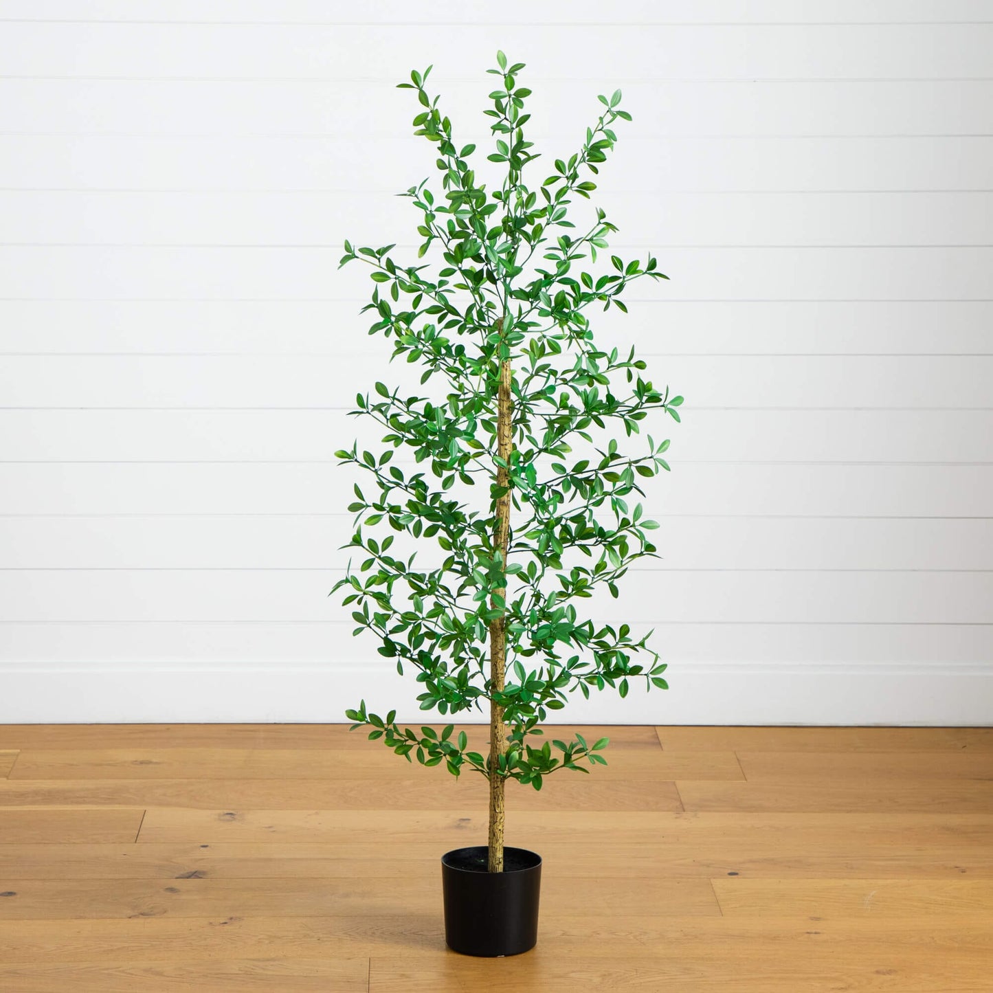 5' Artificial Shady Lady Black Olive Tree
