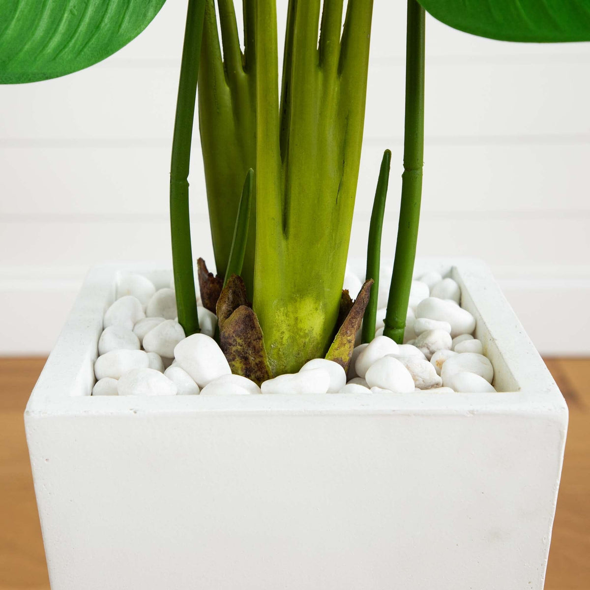 5’ Traveler's Palm Artificial Tree in Tall White Planter