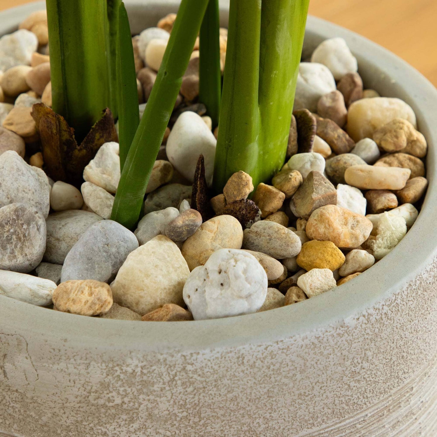 50” Traveler's Palm Artificial Tree in Sand-Colored Planter