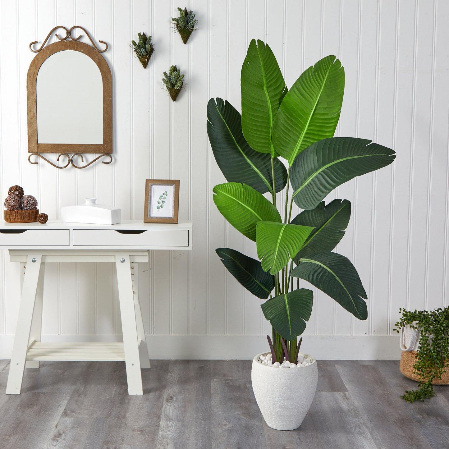 5.5’ Traveler's Palm Artificial Tree in White Planter