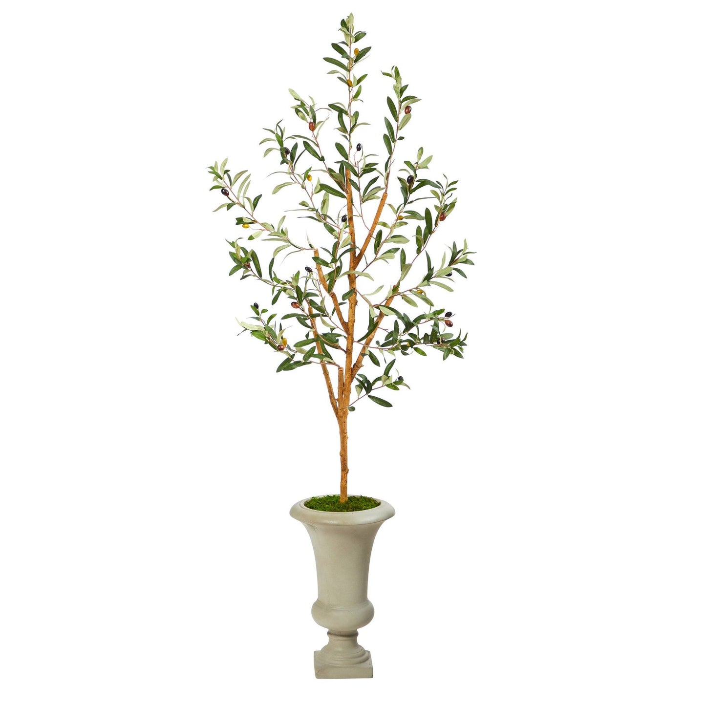 57” Olive Artificial Tree in Sand Colored Urn
