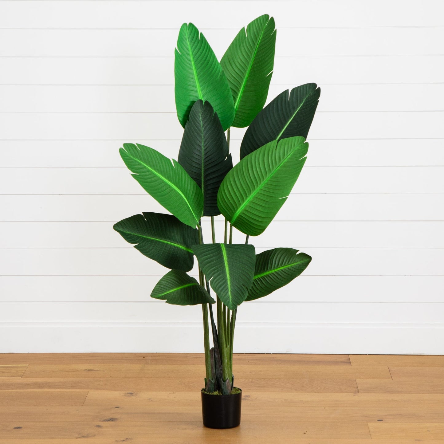 58” Traveler's Palm Artificial Tree