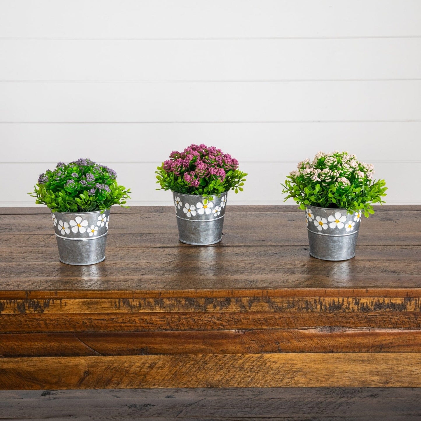 6” Artificial Succulent flowering Plant in Decorative Daisy Tin Planter -Set of 3