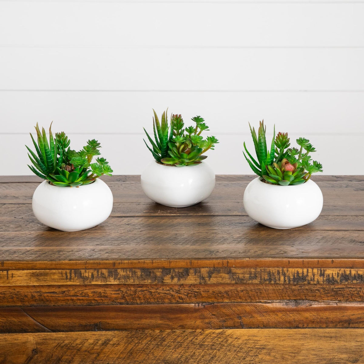 6" Artificial Succulent Garden in Ceramic White Planter - Set of 3
