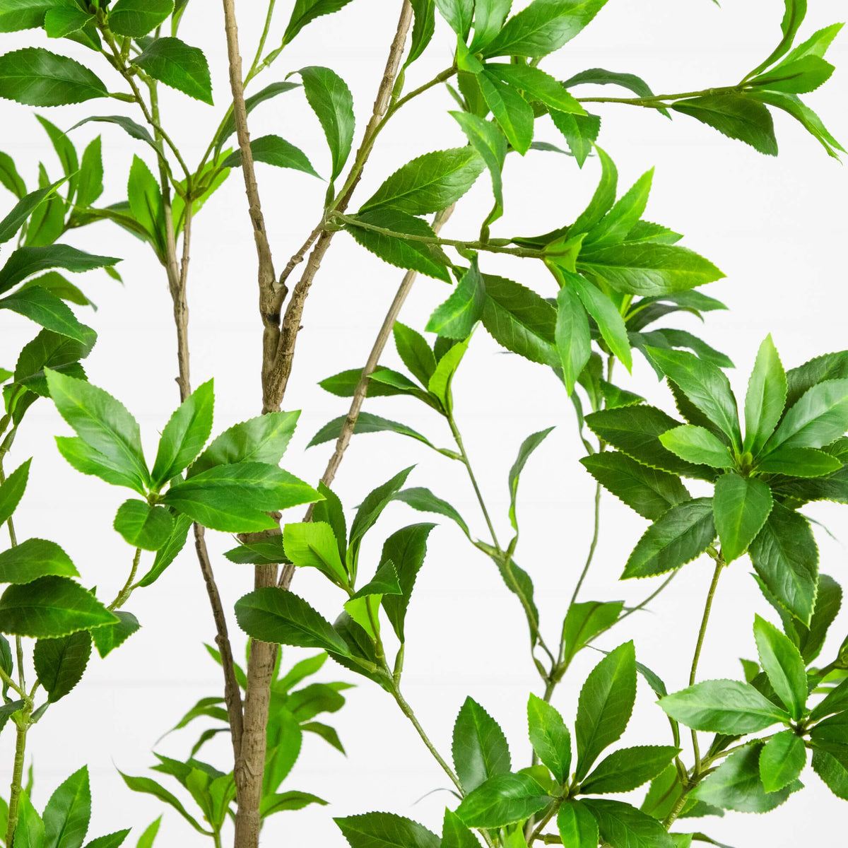 6' Artificial Minimalist Japanese Pieris Tree