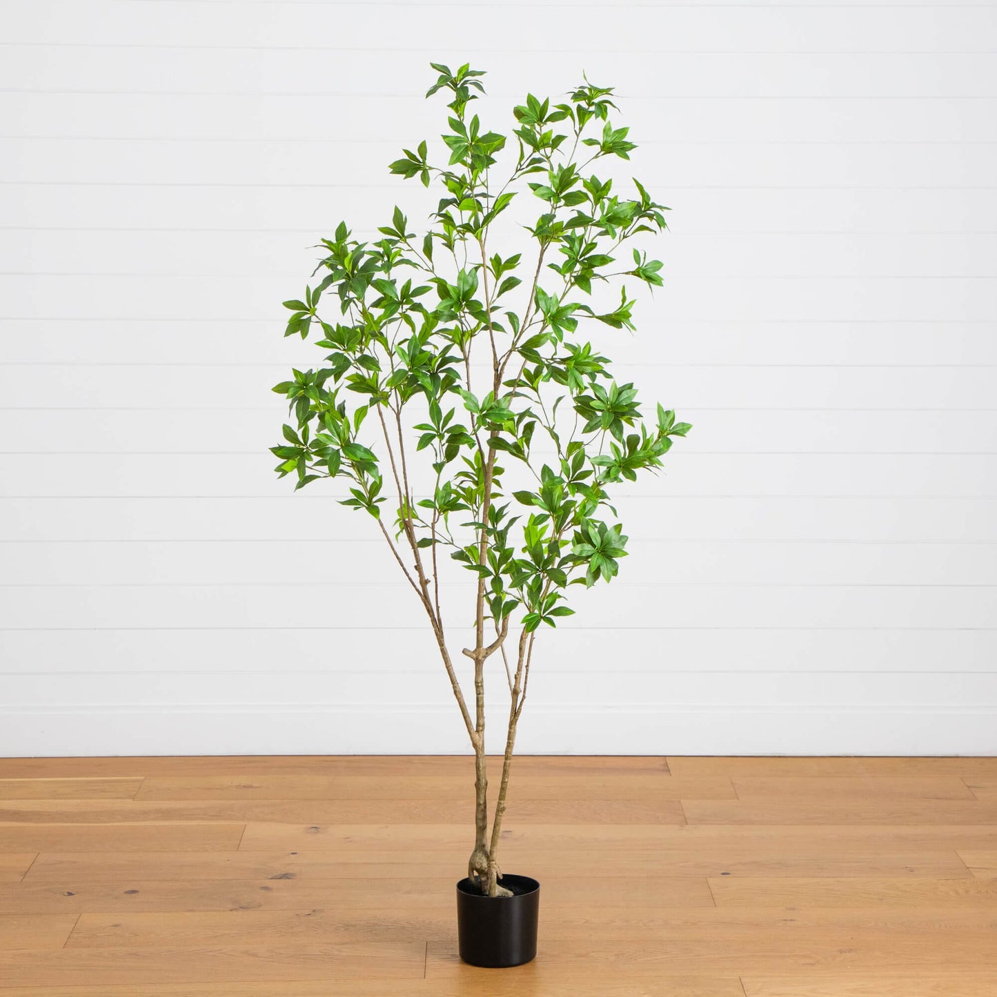 6' Artificial Minimalist Japanese Pieris Tree