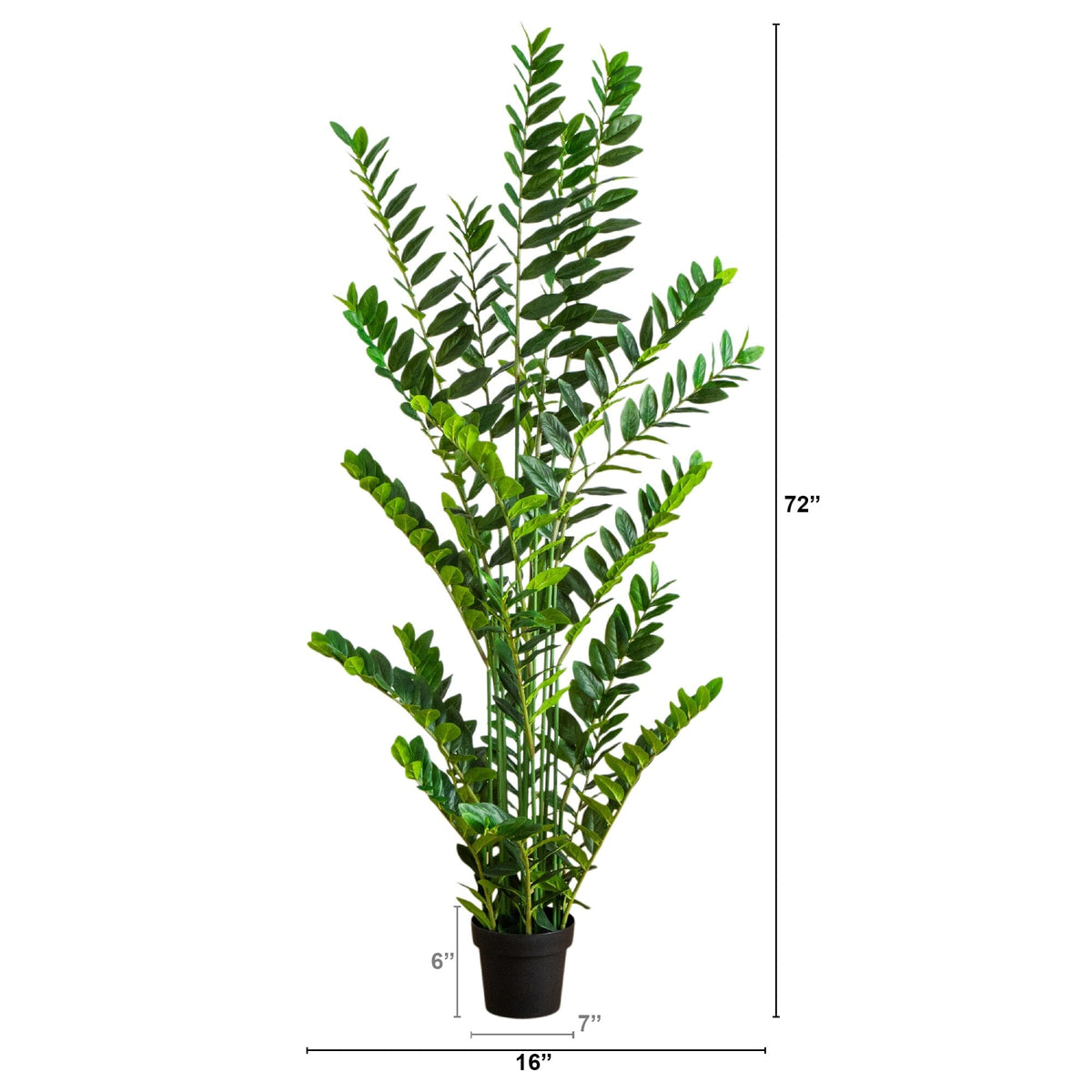 6' Artificial Zamioculcas Plant