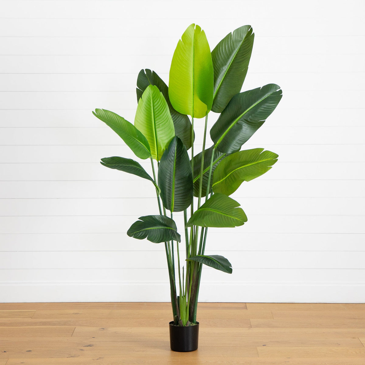 6’ UV Resistant Artificial Traveler's Palm Tree (Indoor/Outdoor)