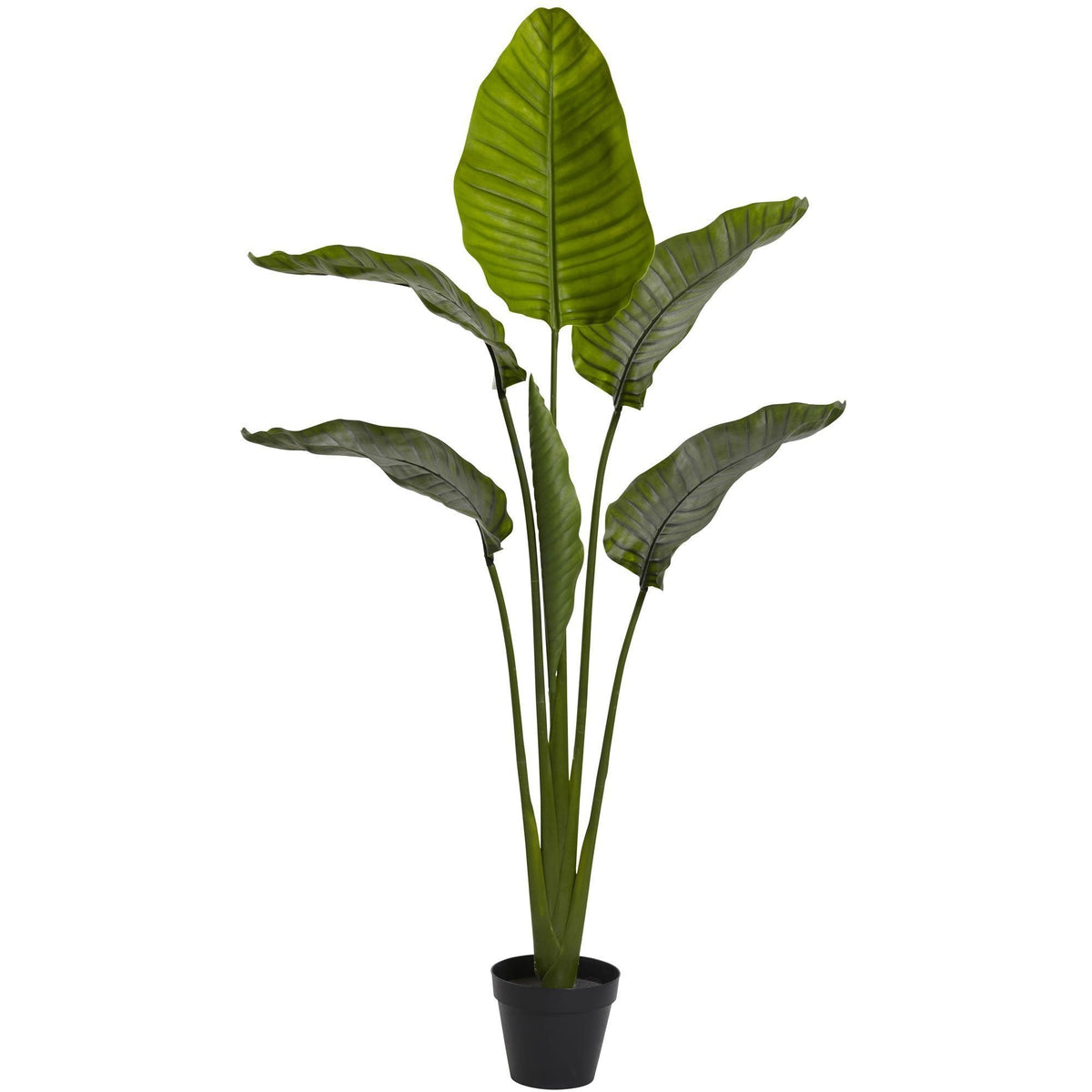 64” Traveler's Palm Tree UV Resistant (Indoor/Outdoor)