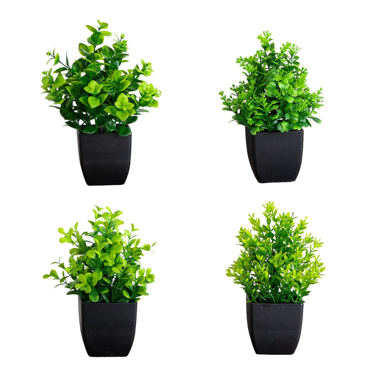 7” Artificial Assorted Green Plant in Black Square Pot - Set of 4