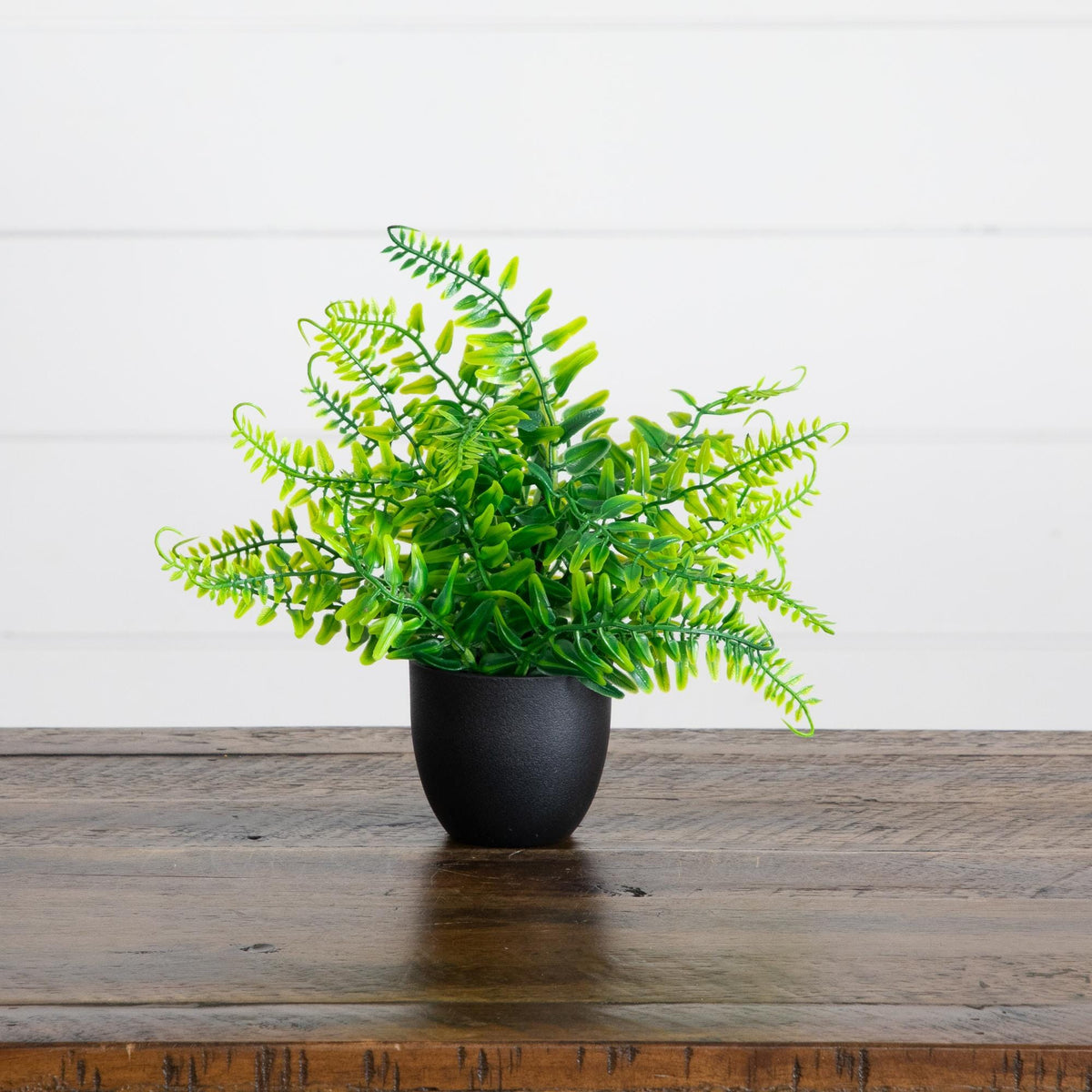 7” Artificial Mixed Botanical Plant in Black Square Pot - Set of 4