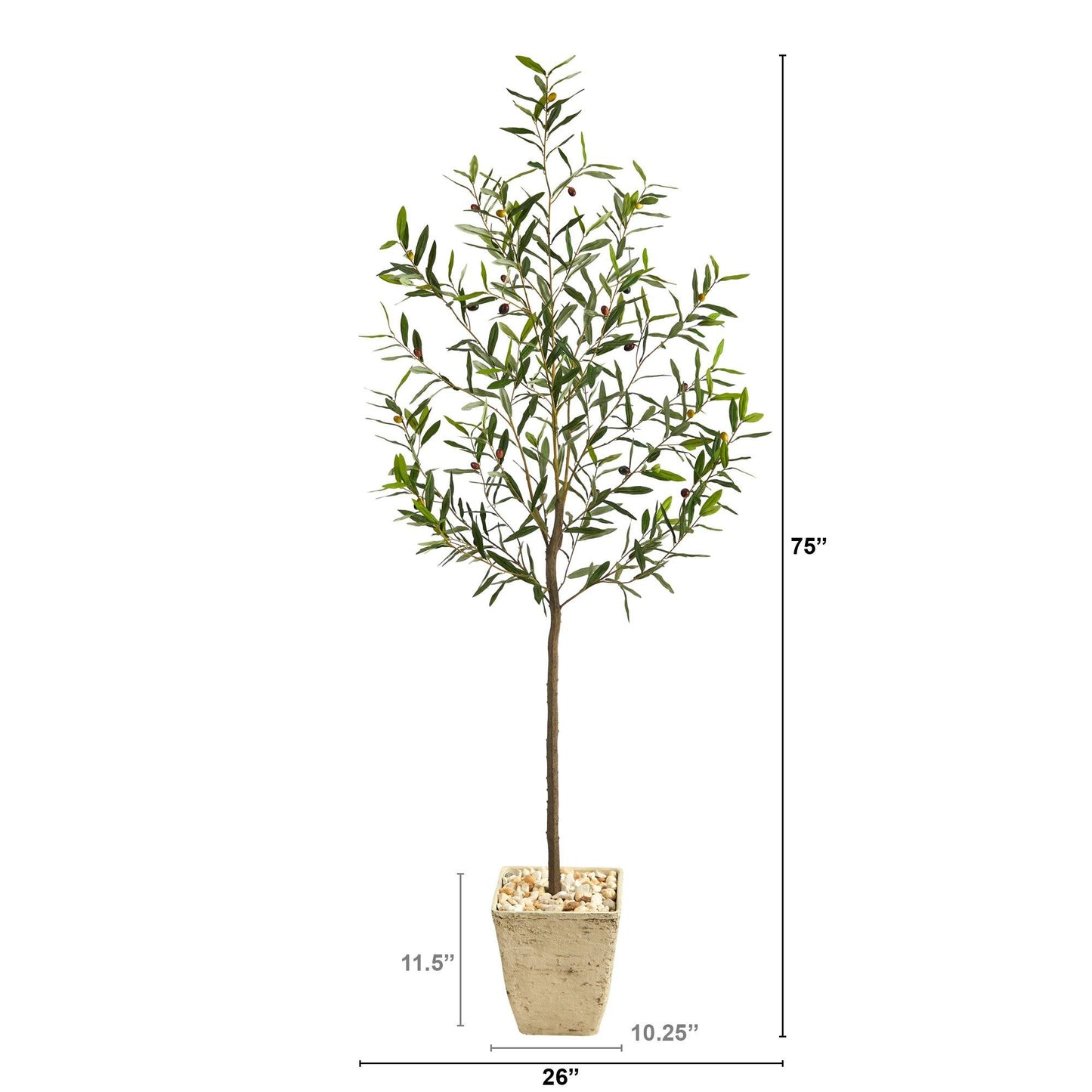 75” Olive Artificial Tree in Country White Planter