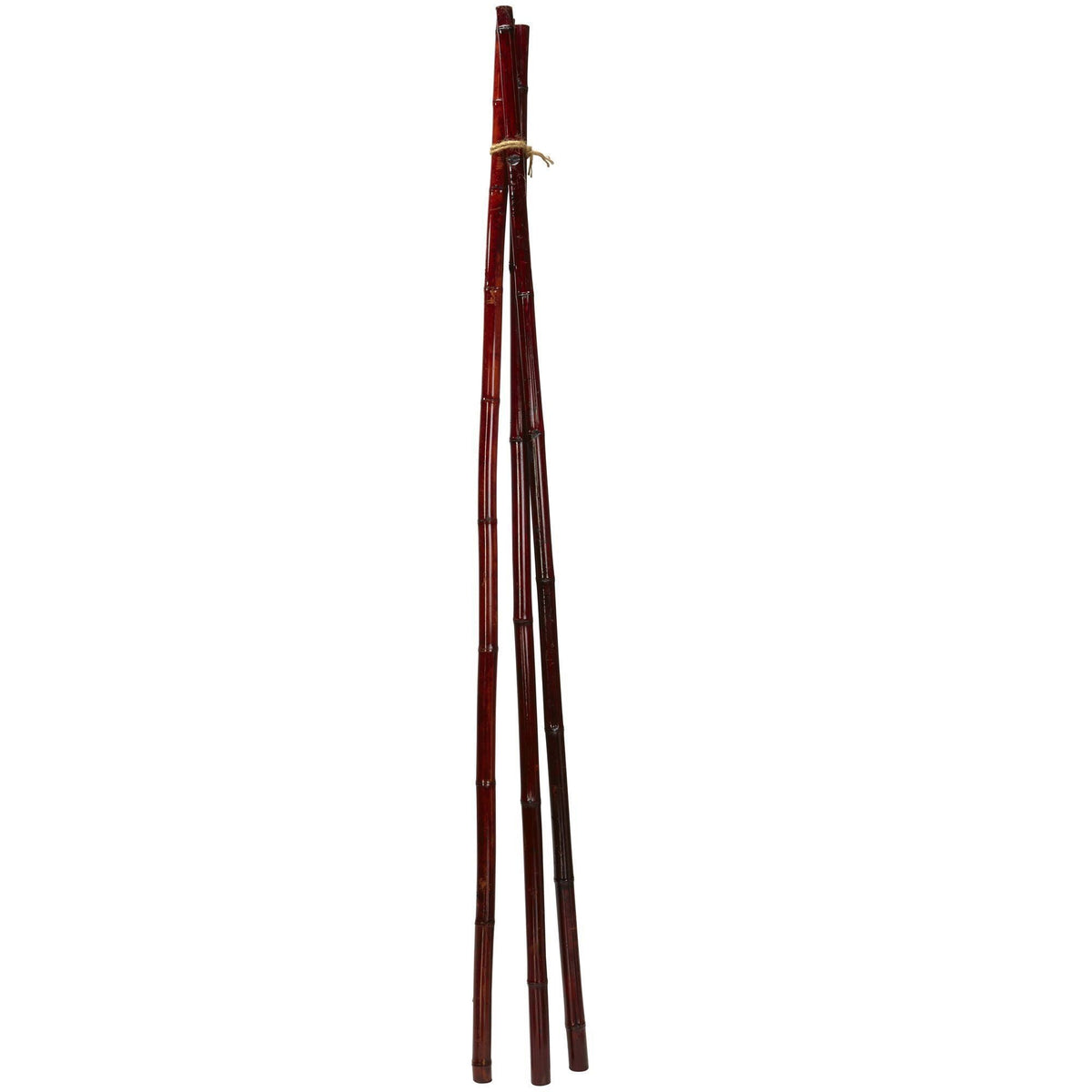 Bamboo Poles (Set of 6)