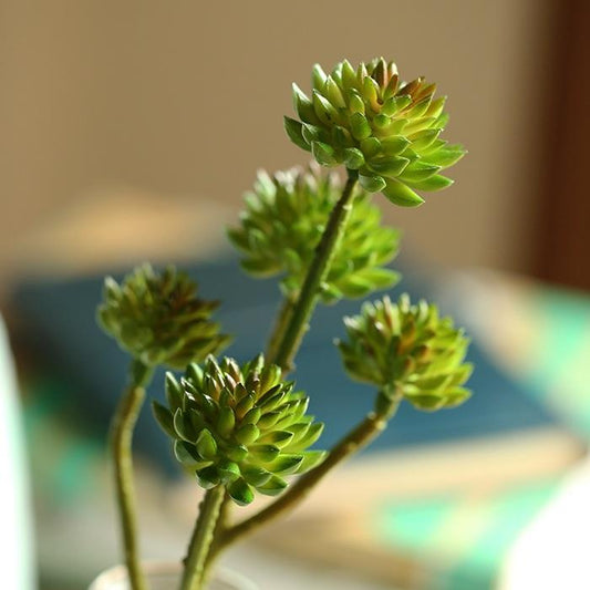Artificial Plant Faux Succulent Stem Set in Green 13" Tall