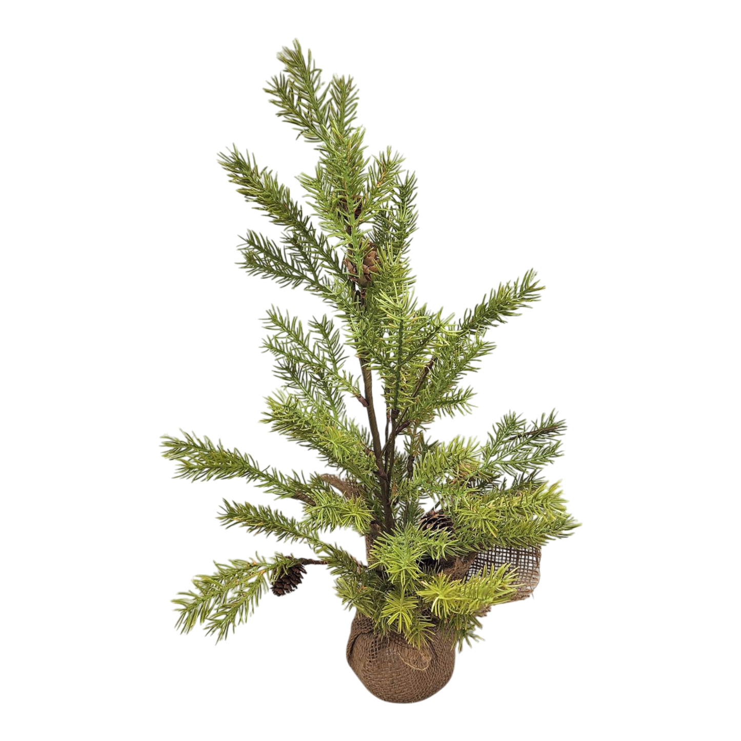 Lush Evergreen Tree - 21 Inch