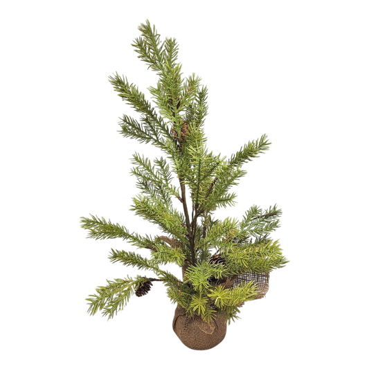 Lush Evergreen Tree - 21 Inch