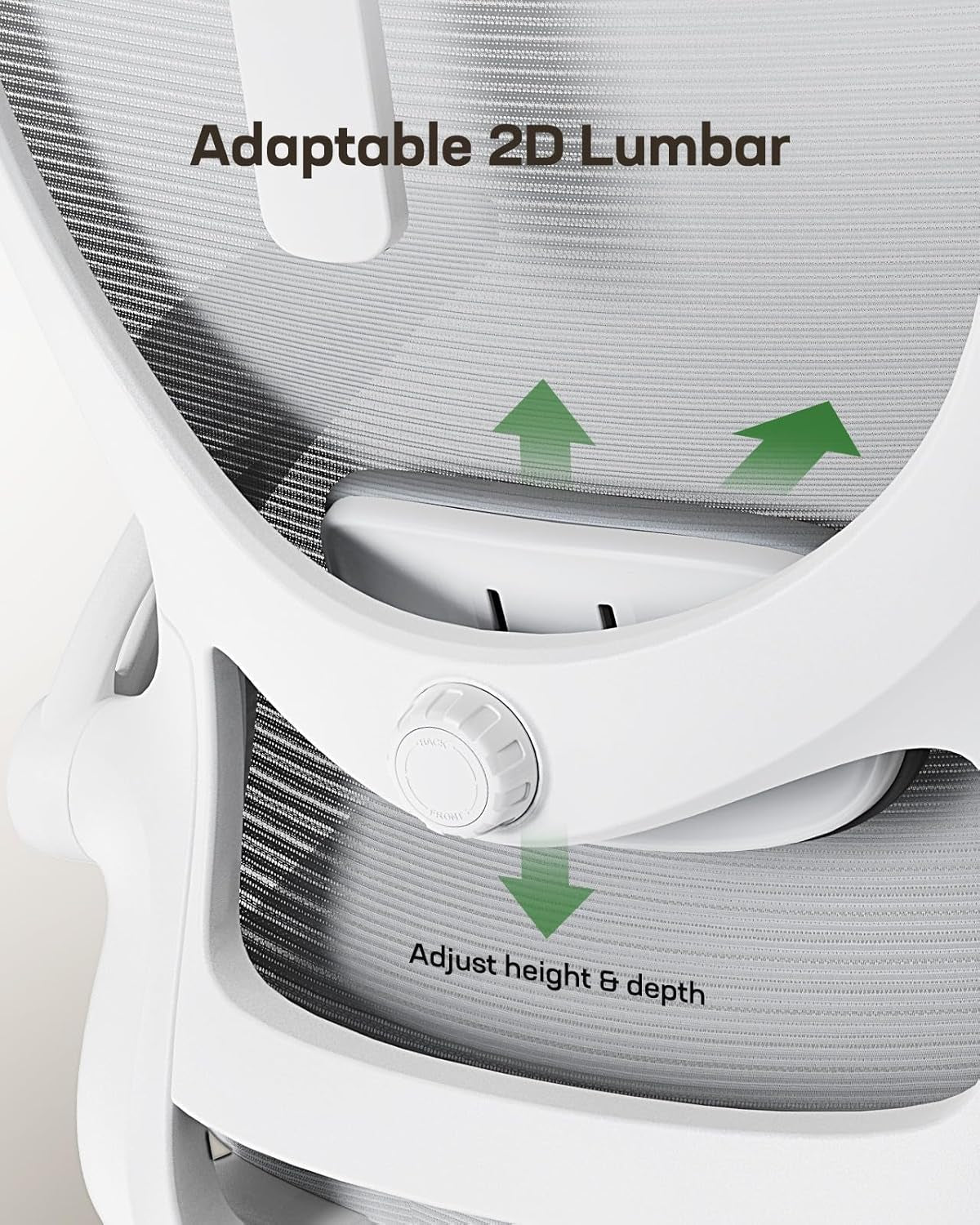 Ergonomic Mesh Office Chair With Adjustable Lumbar Support