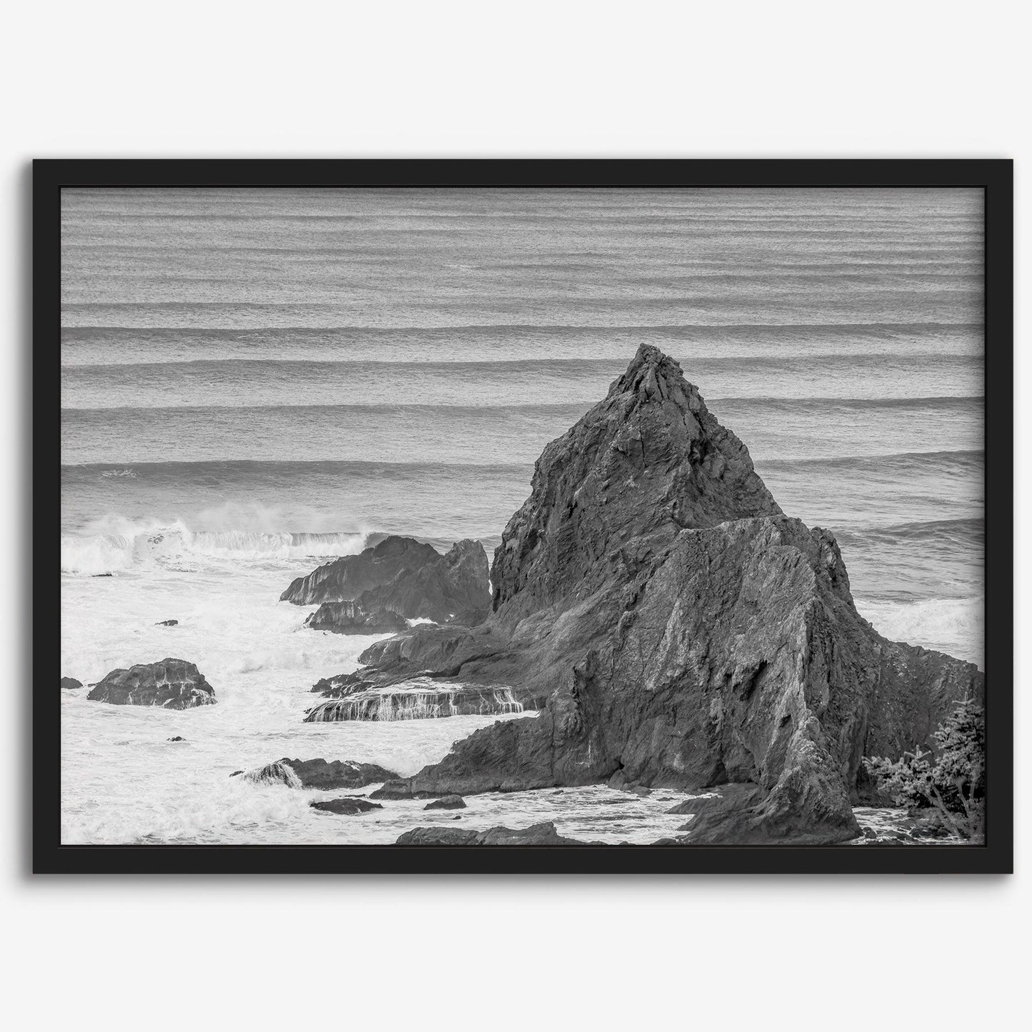 Monochrome Coast