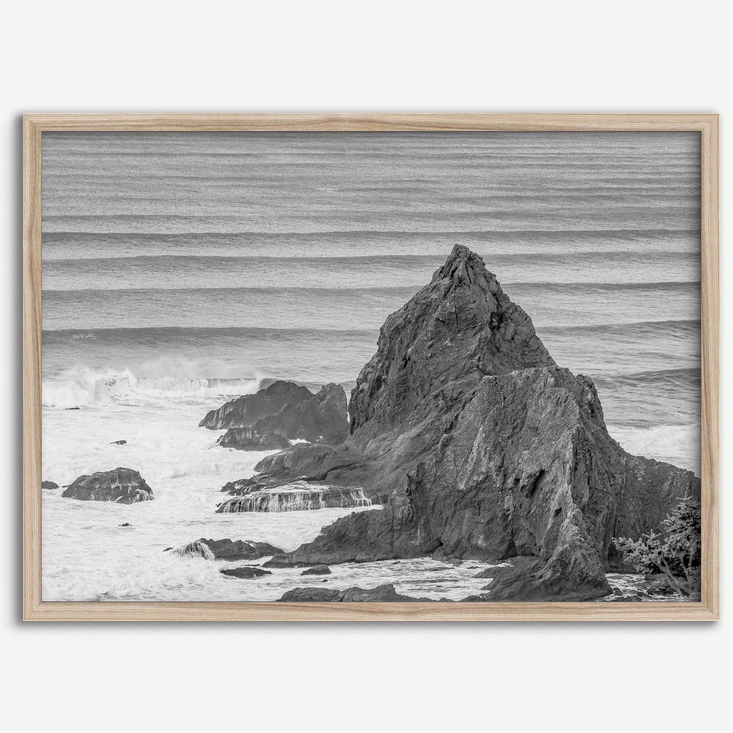Monochrome Coast