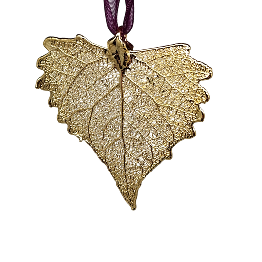 Gold Cottonwood Leaf with Sheer Ribbon Ornament