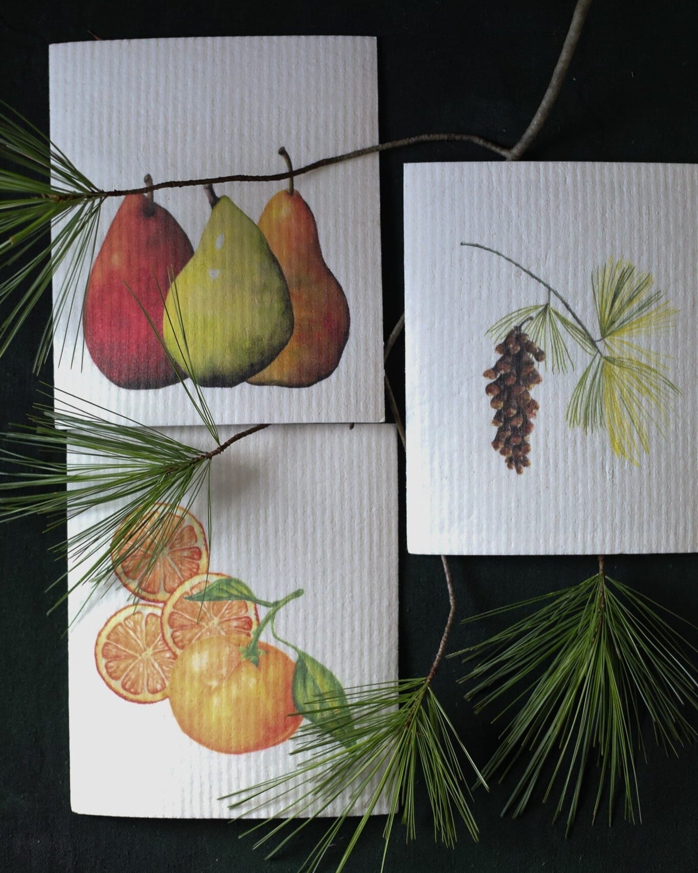 Hostess set of 3 | Pears, Tangerine, and Pinecone (Botanical artist Cara Cummings)