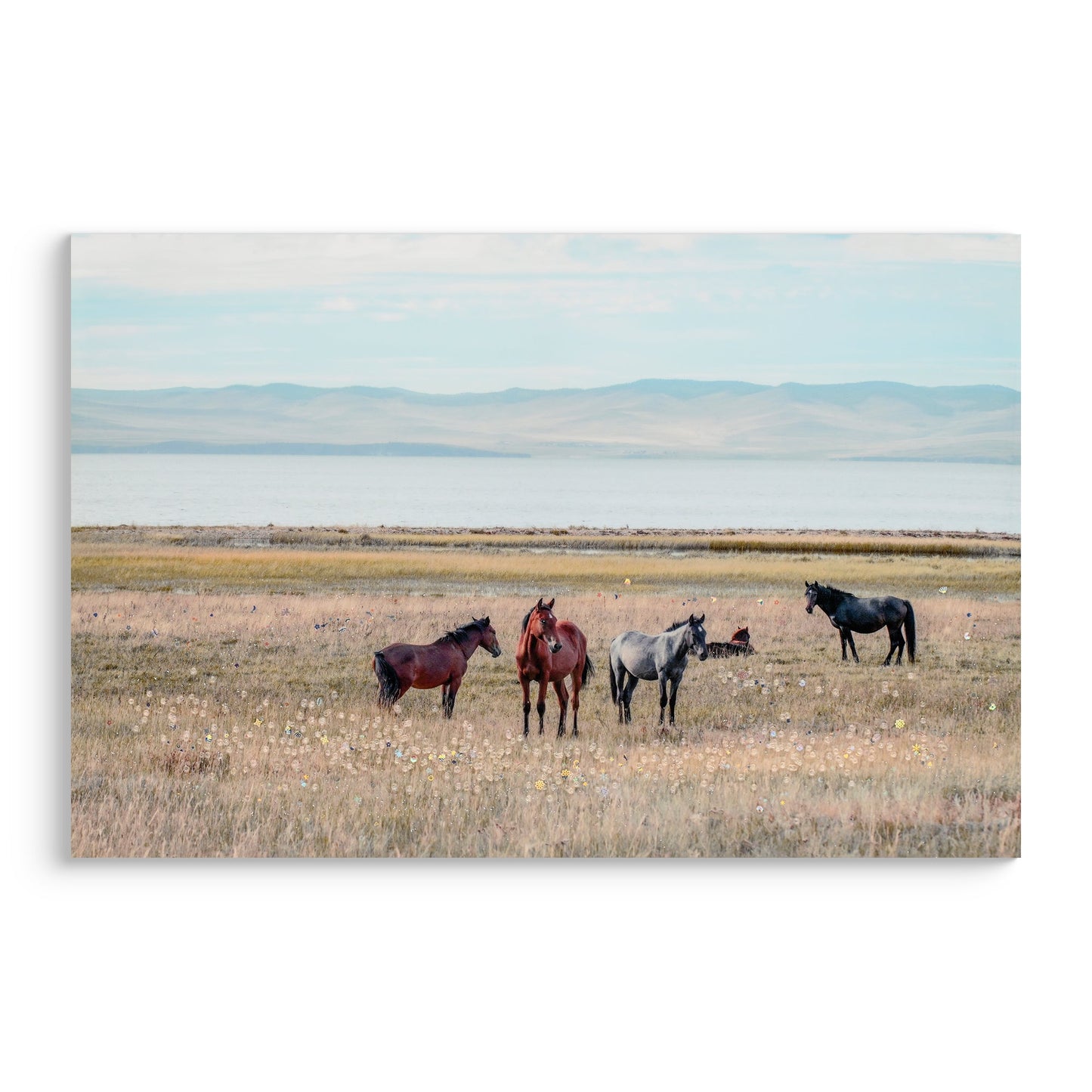 Horse Framed Wall Art Decor: Country Western Farmhouse