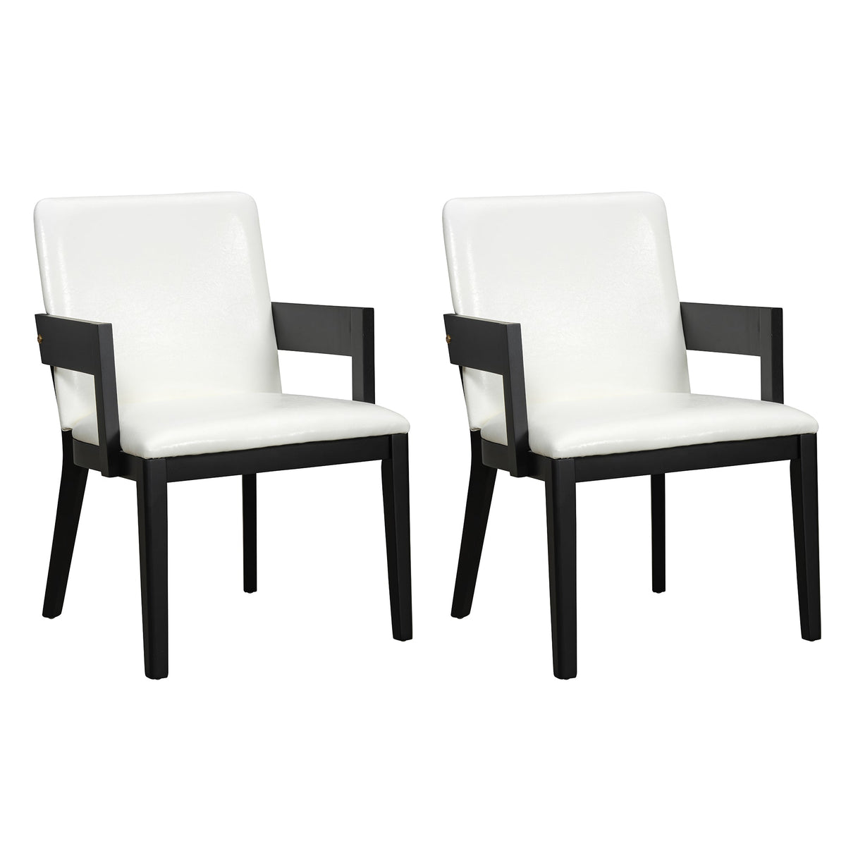 2-Piece Modern Dining Chairs